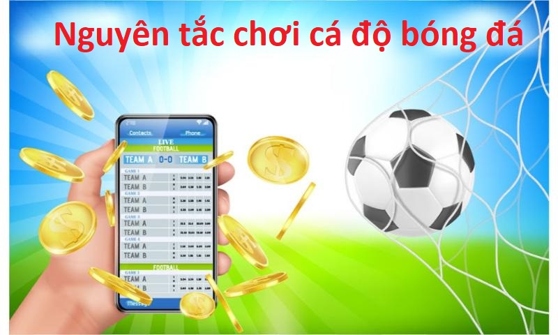 cach-ca-do-bong-da-luon-thang-chien-luoc-thuc-te-giup-thang-on-dinh